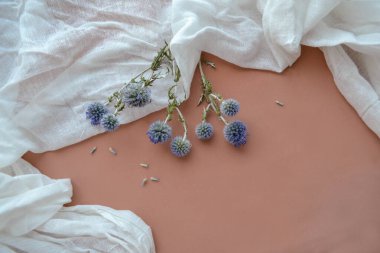 Beyaz gazlı bez ve kuru mavi eryngium planum bileşimi