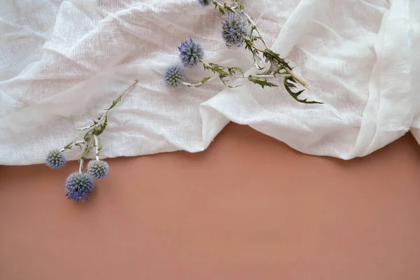 Gazlı bez ve kuru eryngium planum çiçekleri.