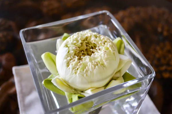 Lotus blanc fleur unique de nénuphar dans un vase en verre. Été, printemps floraison décor intérieur. Asiatique esprit simbol — Photo