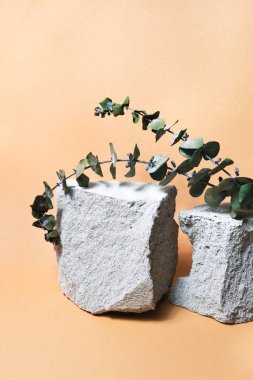 Bej üzerine kozmetik ürünleri için yaratıcı taş podyum. Somut kaide, kurumuş okaliptüs. Moda güzellik konsepti