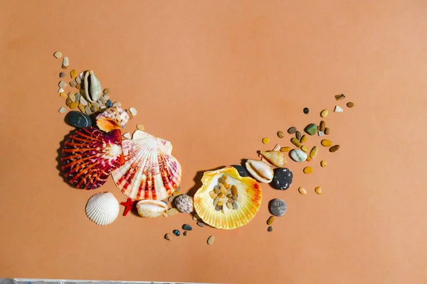 Coquilles de mer, pierres composition créative. Appartement d'été posé sur fond beige clipart — Photo
