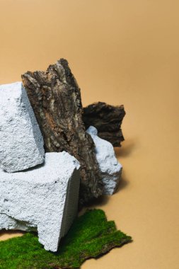 Boş taş podyum, kabuk, bej arka planda yosun şablonu. Copyspace güzellik ürünü, kozmetik, parfüm afişi. Paketleme organik konsept. Moda rock ürünleri kaidesini sergiliyor