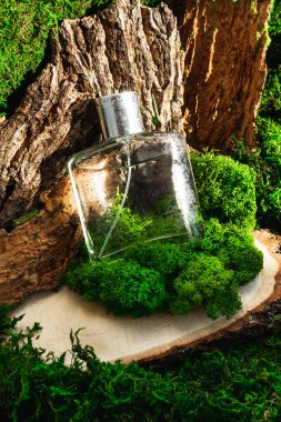 Yeşil yosun ormanlarında erkek parfümü. Parfüm Paketi modeli. Güzellik merkezi konsepti