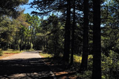 Verdon Kanyonu manzarası