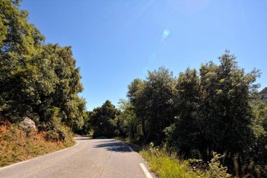 Verdon Kanyonu manzarası