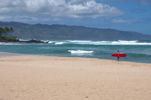 Vamos Surfear Las Olas Hawaianas — Foto de Stock