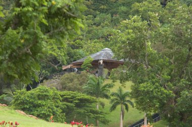 Oahu 'da bir Budist tapınağı.