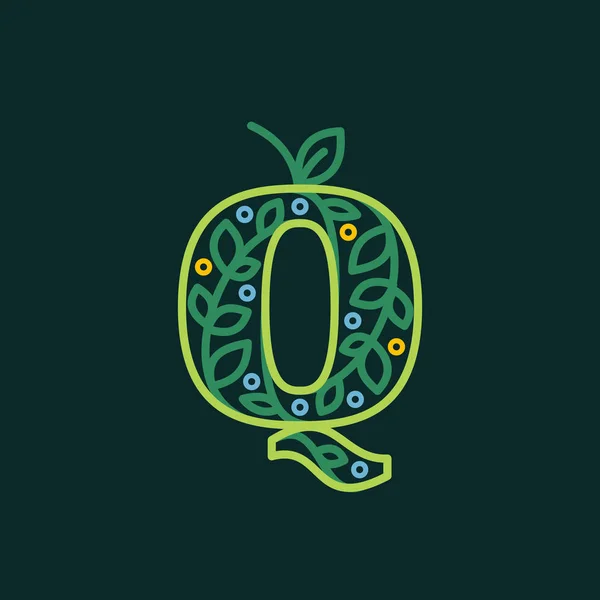 Κομψό γραμμικό γράμμα Q οικολογικό περίτεχνο λογότυπο. — Διανυσματικό Αρχείο
