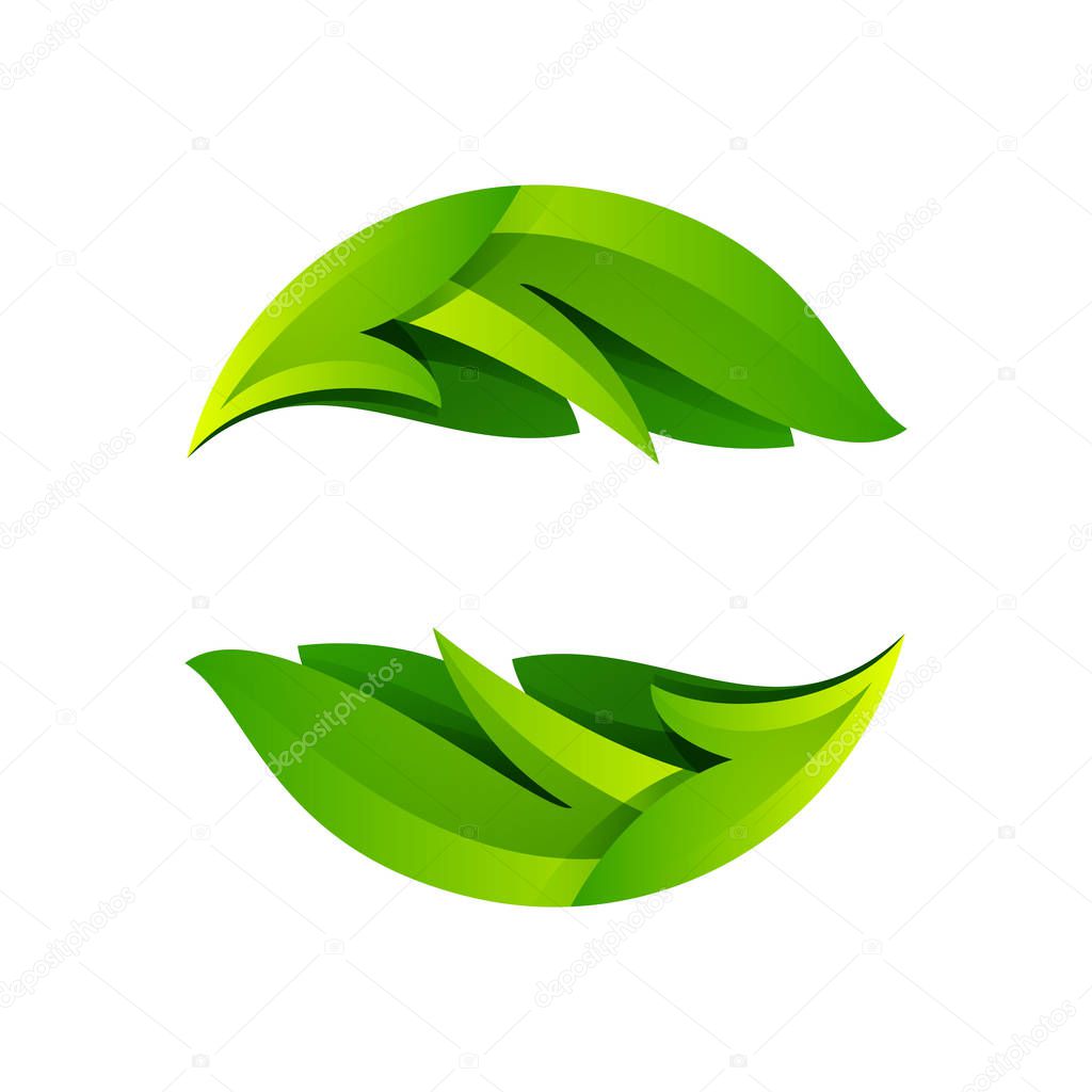 Vector design template elements for vegan, bio, raw, organic template.