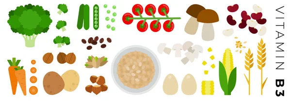 Vitamine B3 aliments vecteur plat icônes ensemble. Isolé sur blanc . — Image vectorielle