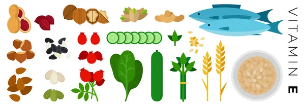 Vitamina E alimentos vetor ícones planos conjunto com nozes, peixes . —  Vetores de Stock