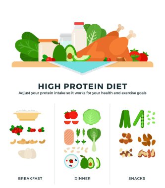 Düz tasarımda yüksek protein diyet vektör çizimleri. Yüksek dozda protein içeren yiyecekler.