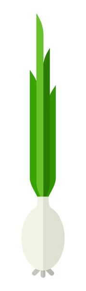 Лук с векторной плоской зеленой капустой — стоковый вектор