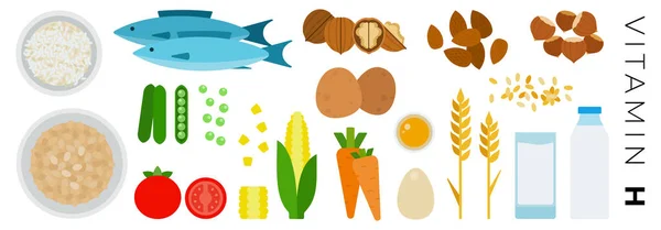 Vitamine H aliments vecteur plat icônes serties de noix, lait, légumes. — Image vectorielle