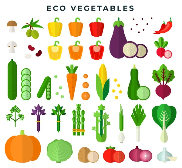 Eco groenten, kleurrijke platte stijl set. Vers biologisch voedsel. Vector illustratie, geïsoleerd op wit. — Stockvector