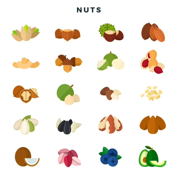 Nueces de todo tipo. Conjunto de varios frutos secos, granos y semillas. Ilustración vectorial, aislada sobre fondo blanco . — Archivo Imágenes Vectoriales