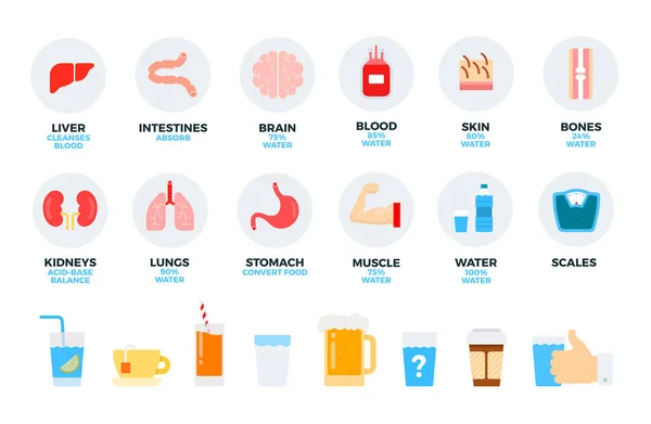 Lidské orgány a denní nápoj vektorové ploché ilustrace. Set s játry, mozek, krev, kůže, voda, káva pro web shop a izolované na bílém — Stockový vektor