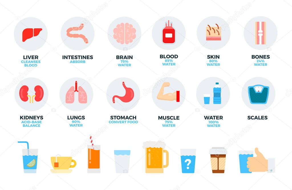 Human organs and daily drink vector flat illustration. Set with liver, brain, blood, skin, water, coffee for website shop and Isolated on white