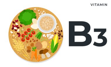 Besin bileşenleri B3 vitamini vektör illüstrasyonları düz stilde. B3 vitamininin azami içeriğine sahip ürünler.