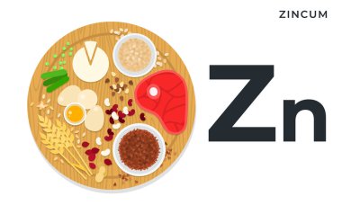 Vitamin Zn düz vektör çizimleri. İçinde zincum bulunan yiyecekler. Diyet, sağlıklı beslenme.