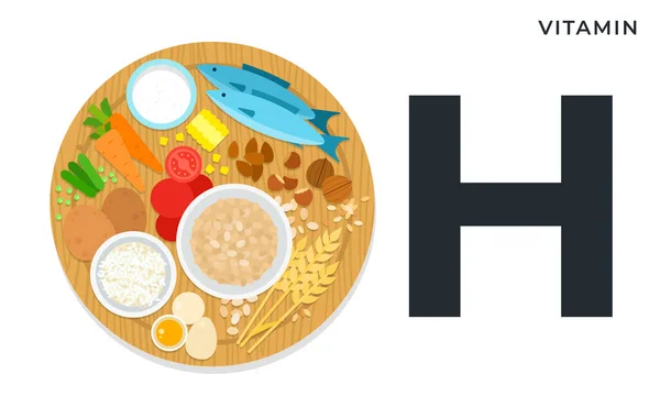 Vitamina H ou biotina e ilustração vetorial plana de alimentos ricos em vitamina H. Estilo de vida saudável e conceito de dieta . —  Vetores de Stock