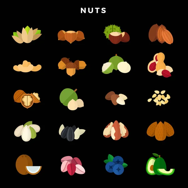 Nueces de todo tipo. Conjunto de varios frutos secos, granos y semillas. Ilustración vectorial sobre fondo oscuro Ilustraciones De Stock Sin Royalties Gratis