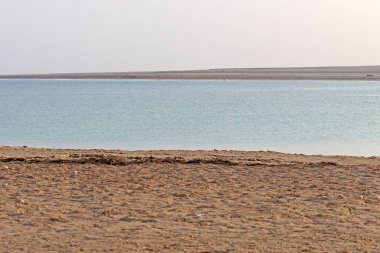 deniz öldü, sahil tuz