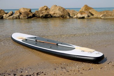 su sporları için SAP yönetim kurulu