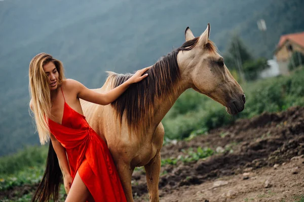 セクシーな女性の馬 自然の周りが屋外でポーズします フィールド上の野生動物 馬に乗ってください 緑の丘と草 — ストック写真