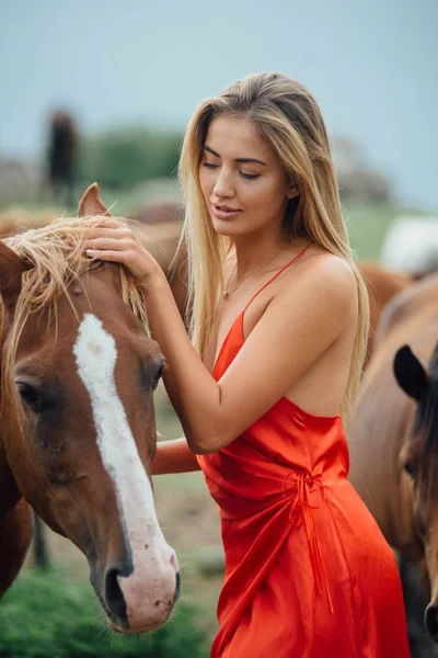 Samica Głaskanie Konia Odkryty Niesamowita Blondynka Czerwonej Sukience Obok Hoss — Zdjęcie stockowe