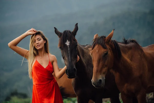 つの栗の馬と赤の豪華な若い女性は フィールドに立っているをドレスアップします 森や山を背景に — ストック写真