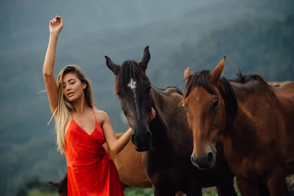 頭の馬がフィールド上を歩くと甘い女の子 空に上昇手 ブロンドの髪 自然の美しさ — ストック写真