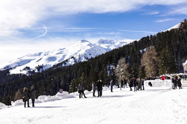 Prachtig Uitzicht Vanaf Heuvel Het Pijnbomenbos Bergen Bedekt Met Sneeuw — Stockfoto
