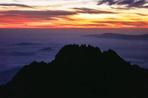 非洲乞力马扎罗山脉的美景 在日出温暖的粉红色背景上的黑色山峰 自由和狂野的大自然 成为你自己和释放你的想法的好地方 — 图库照片