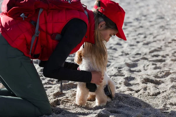 Menina Bonita Andando Livre Com Seu Filhote Cachorro Bonito Segurando — Fotografia de Stock