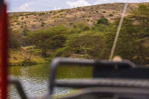 Colina Cubierta Denso Bosque Árboles Hojas Verdes Costa Del Lago — Foto de Stock