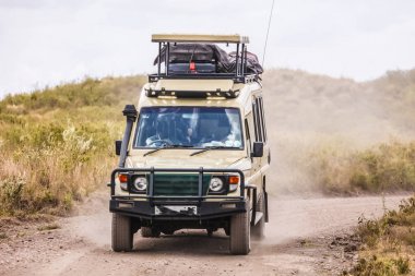 Çatısında bagajı olan büyük pişmiş toprak araba, savanaya biniyor. Güçlü araç 4x4 safari ve eşyalarını insanları taşımak için. Tarlada kurutulmuş çimenler, tepeler, vahşi doğa. Afrika manzaraları