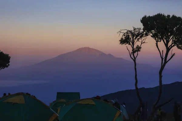 日出时在山顶上欣赏令人惊叹的全景 高高的树独自站立 地上有熟睡的游客的帐篷 美丽的自然风光 攀登到乞力马扎罗山顶 — 图库照片