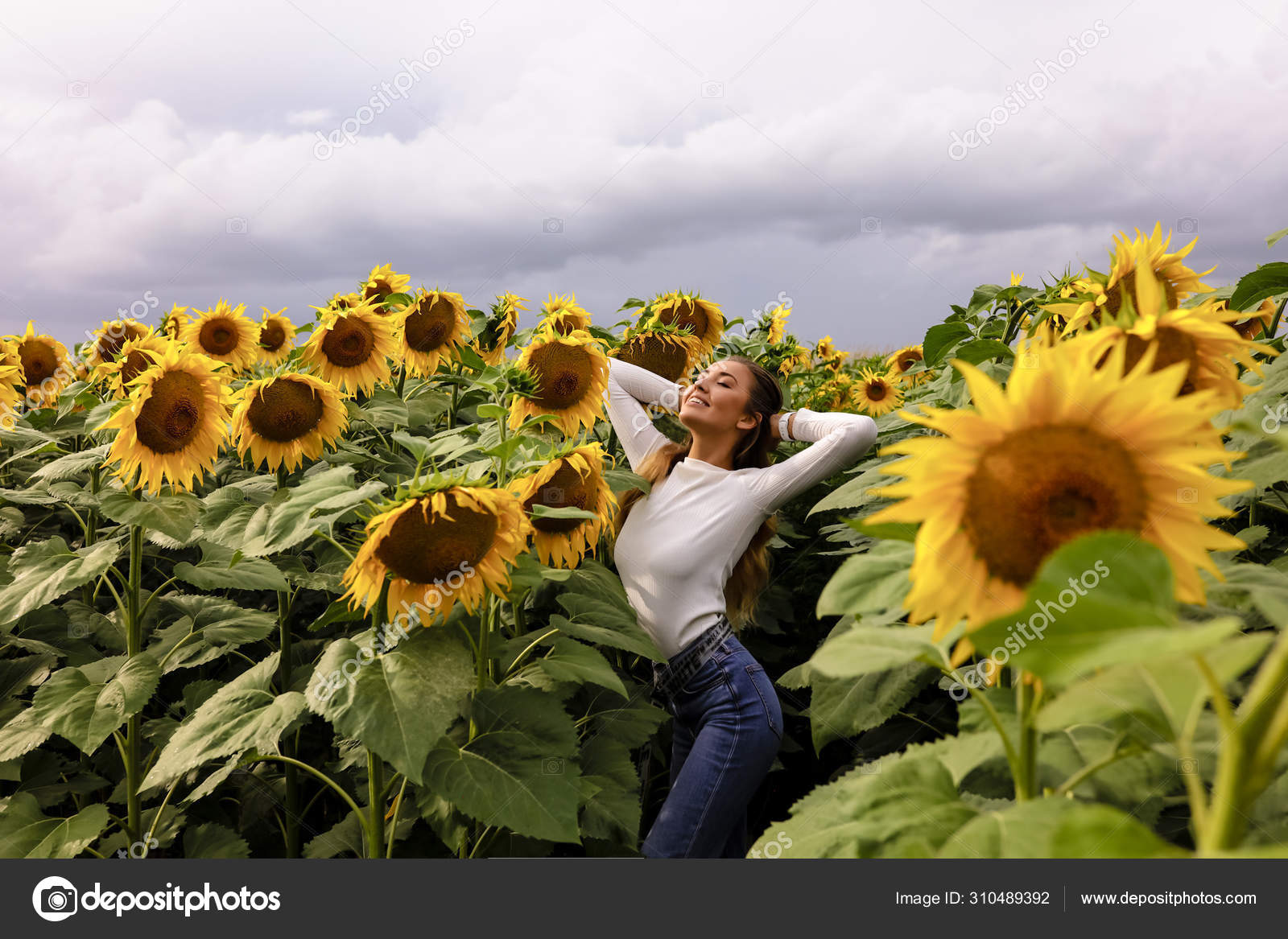 Couleurs Saturées Champ Tournesol D'automne Jeune Fille Sexy Jeans