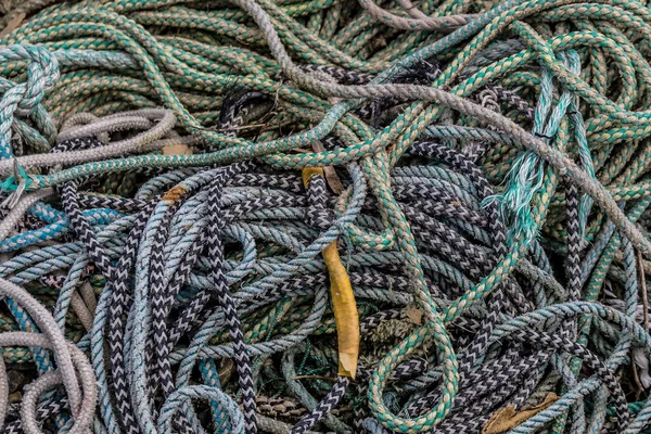 Bir yığın olta ipi ve düğüm.