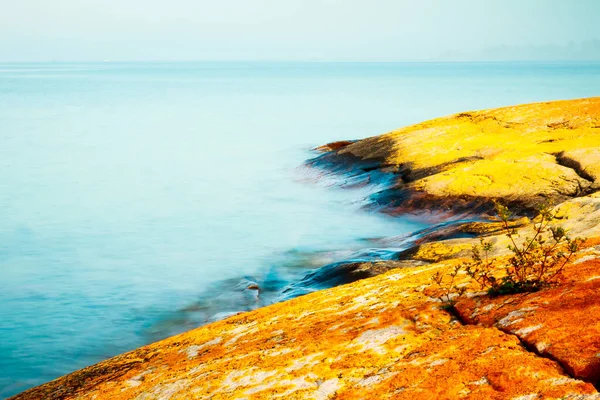 Gürcistan Körfezi 'nin sakin kıyılarında kayaları turuncu yosun kaplıyor.