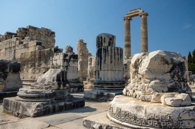 Apollo Tapınağı 'nın muhteşem kalıntıları ve Türkiye' deki Didyama Kahini