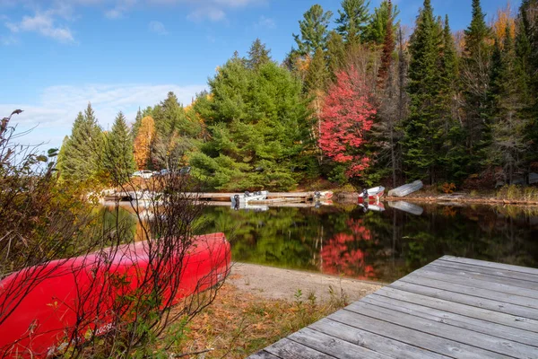 Klasik Kanada manzarası kırmızı kano ve kırmızı akçaağaç bir göle yansıyor.
