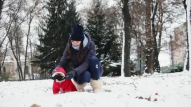 Kadın zevk ile pug köpek karlı Park. Köpek açık havada soğuk gününde bir kukuleta ile kırmızı elbiseli Noel Baba gibi giyinmiş. Sahibi ile onu evde beslenen hayvan.