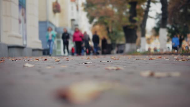 İnsanlar sonbahar sokak yürüyüş. — Stok video