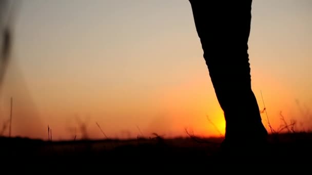 Jovem caminhando com uma menina ao pôr do sol, silhuetas de pai e filha — Vídeo de Stock