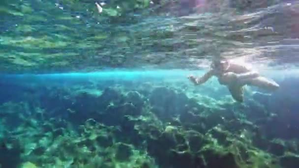Jonge sexy meisje in bikini badpak duik onderwater in snorkelen duikbril en snorkel in de zee — Stockvideo