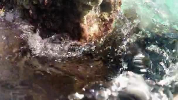 Mar paisagem subaquática com algas marrons e ondas — Vídeo de Stock