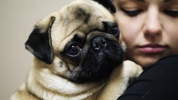 Primer plano de perro lindo pug gordo, la encantadora mujer abrazando pug somnoliento — Vídeo de stock