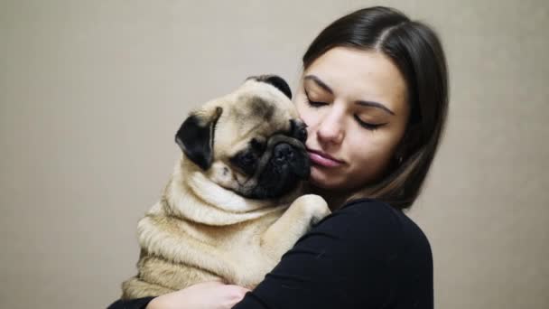 Primer plano de la encantadora mujer abrazando a un lindo perro pug gordo — Vídeos de Stock